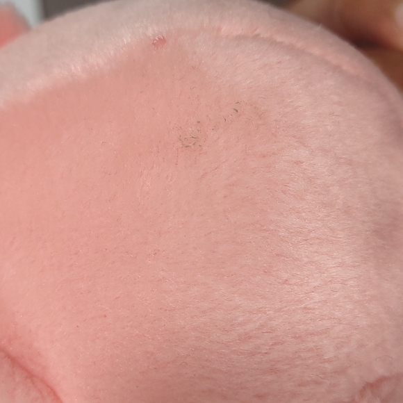 •Care Bears Cheer Bear pink rainbow 8.5" Plush Plushie Fairy Core Stuff animals - Picture 11 of 16